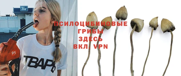 дурь Алзамай