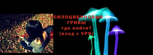 сатива Алексин
