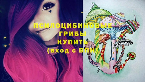 дурь Алзамай