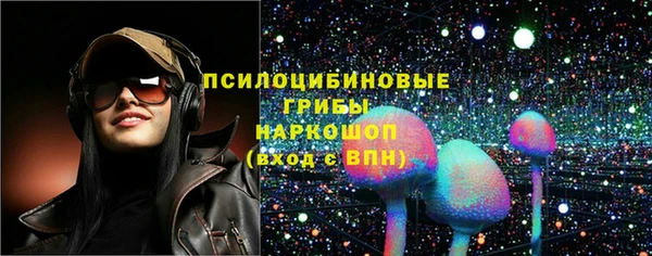 сатива Алексин
